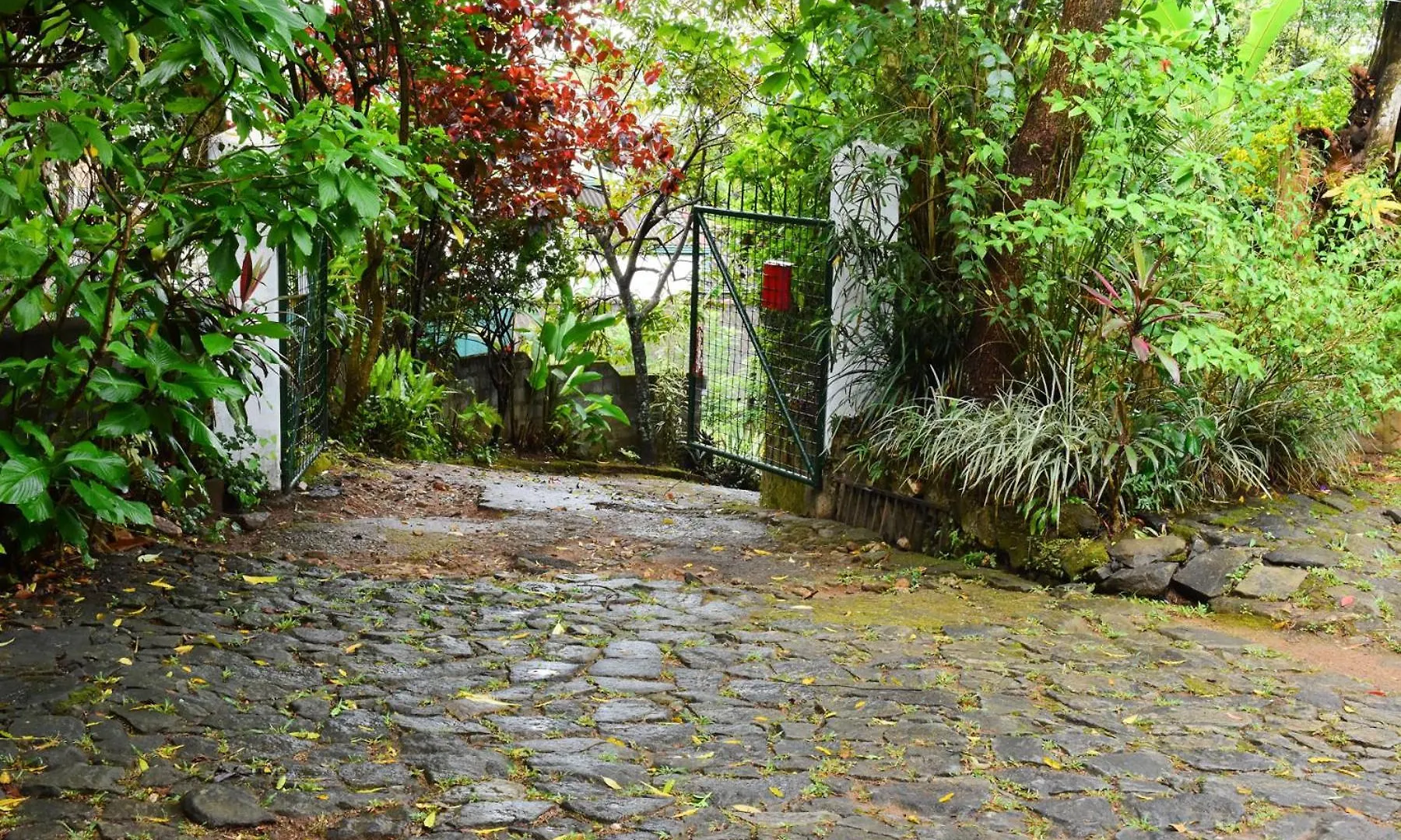 Kandy Garden Retreat Bed & Breakfast