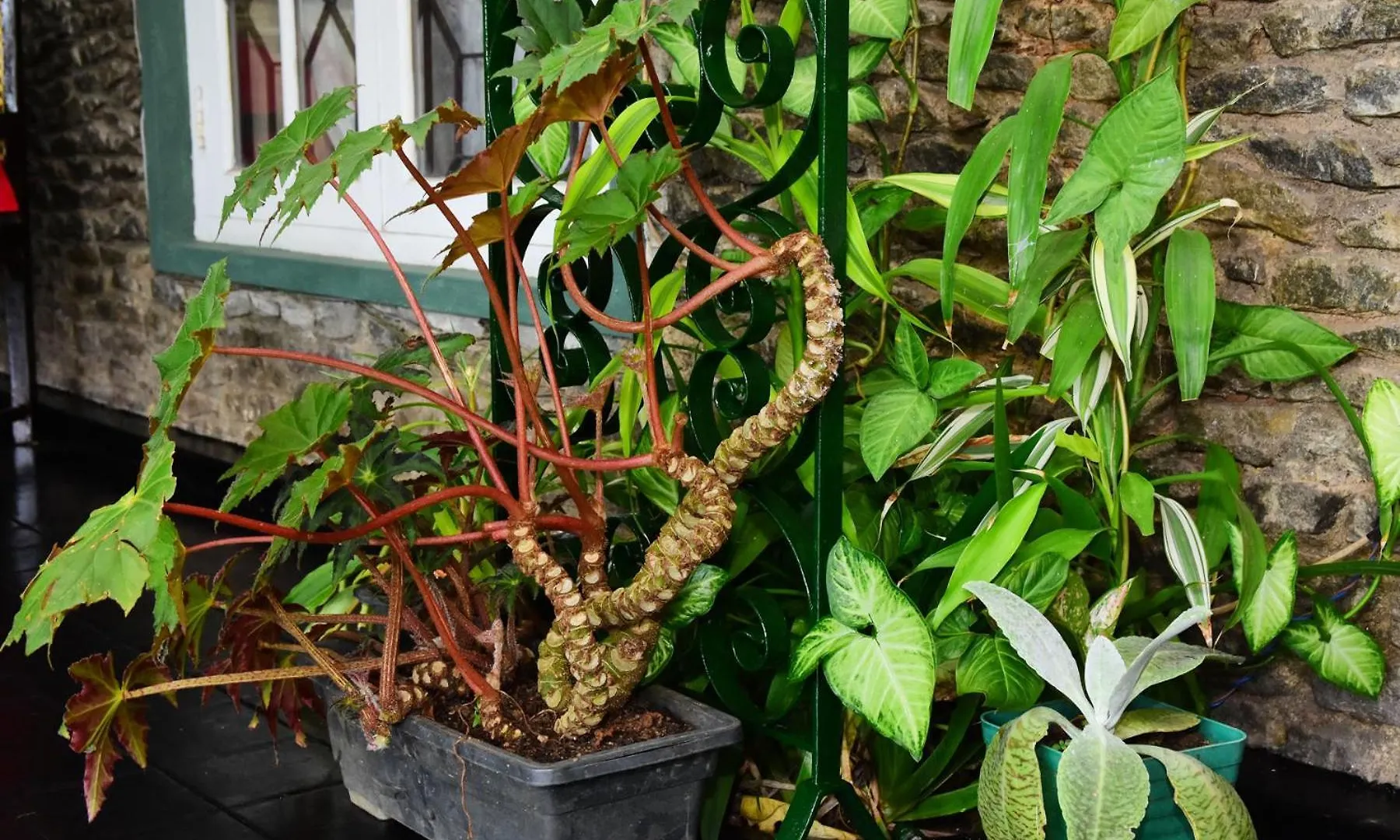 Kandy Garden Retreat 스리랑카